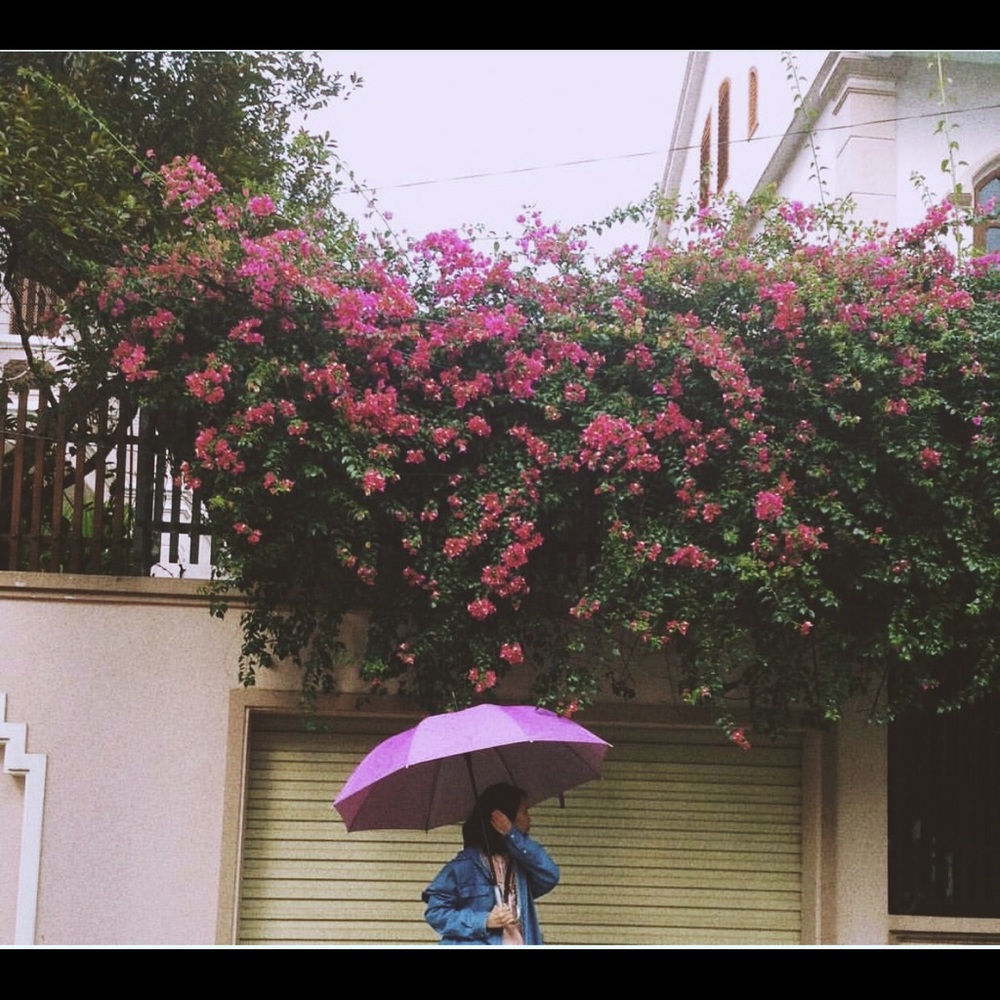 Spring SALE coming soon!